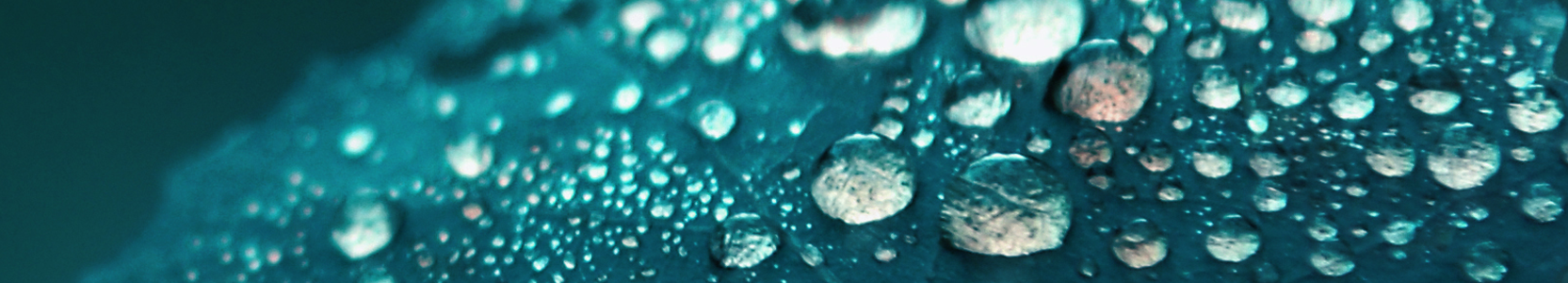 Barrow Hanley Global Share Fund - Class Z