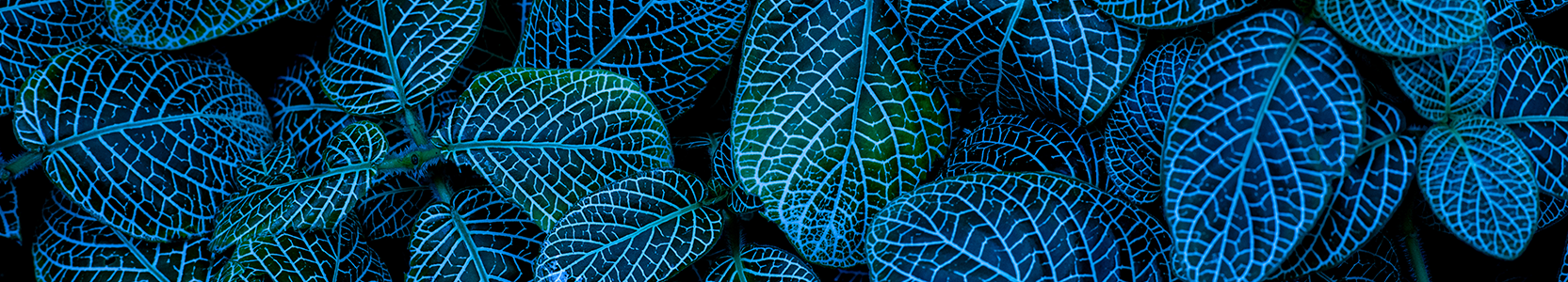 credit-and-fixed-income-hero-1665-300