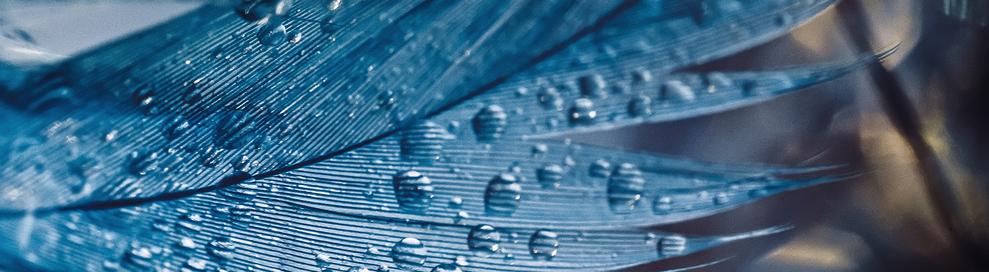 Perpetual Conservative Growth Fund