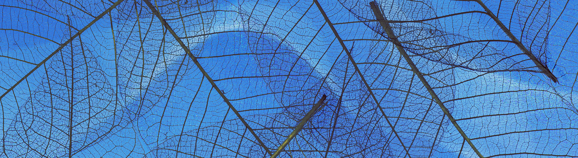 Perpetual Diversified Income Fund