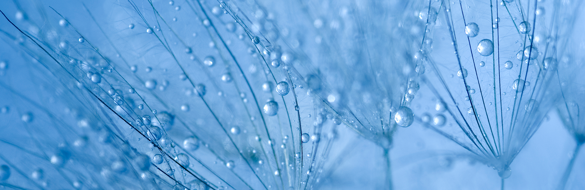 Perpetual Smaller Companies Fund