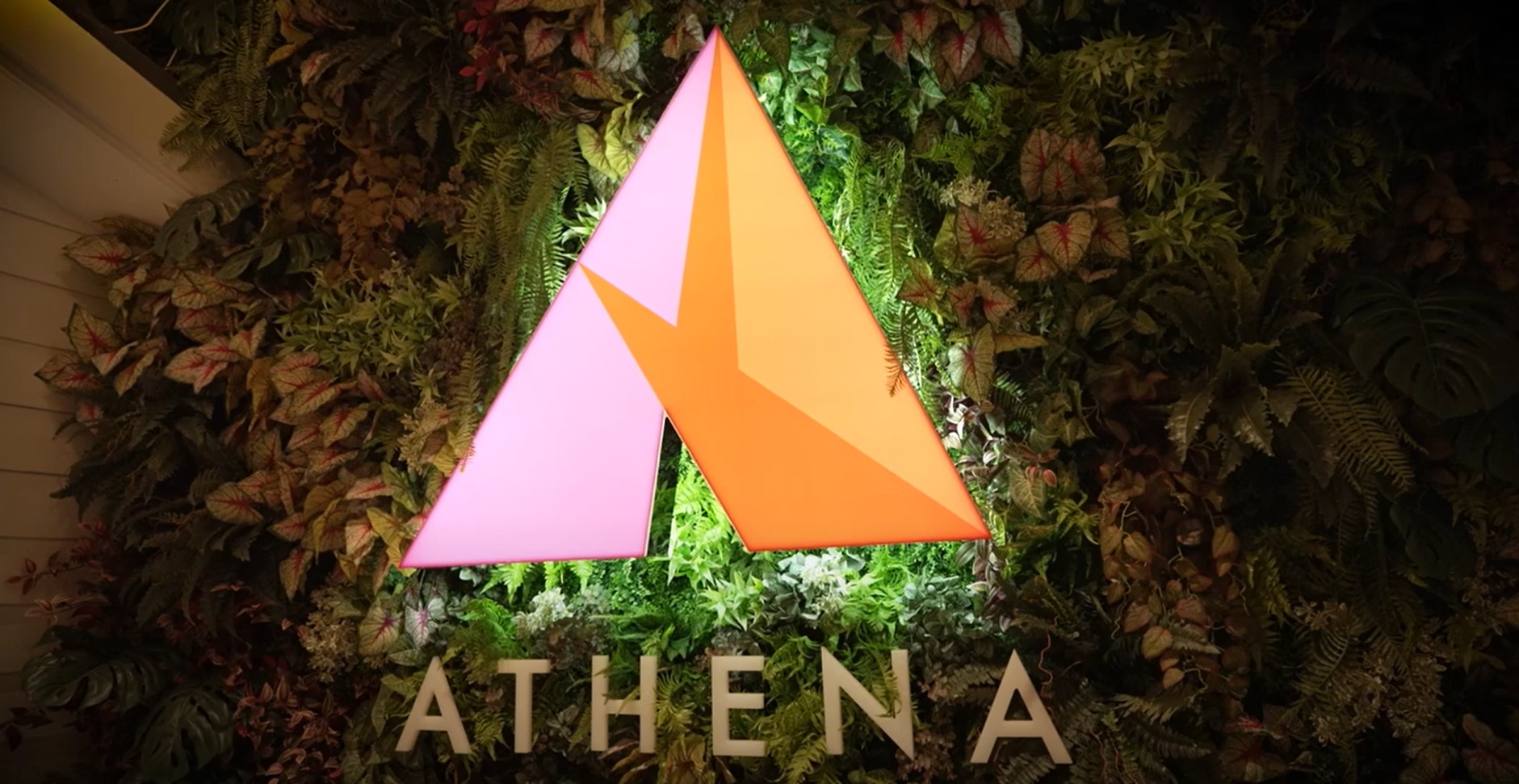 athena-case-study.jpg