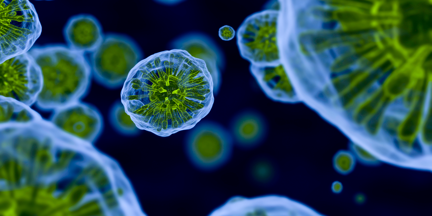 Ramaciotti Scientific Advisory Committee