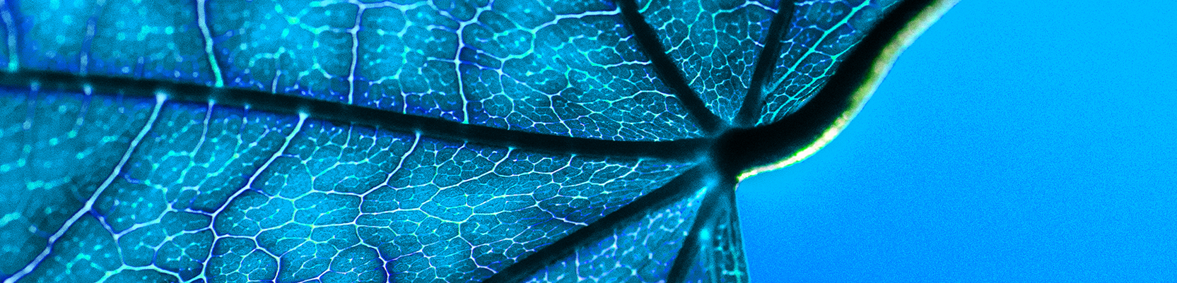 Perpetual ESG Credit Income Fund - Class A